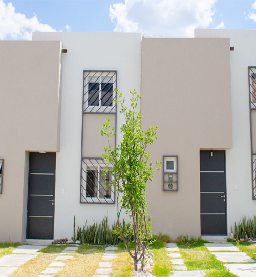 oasis6