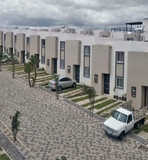 oasis7